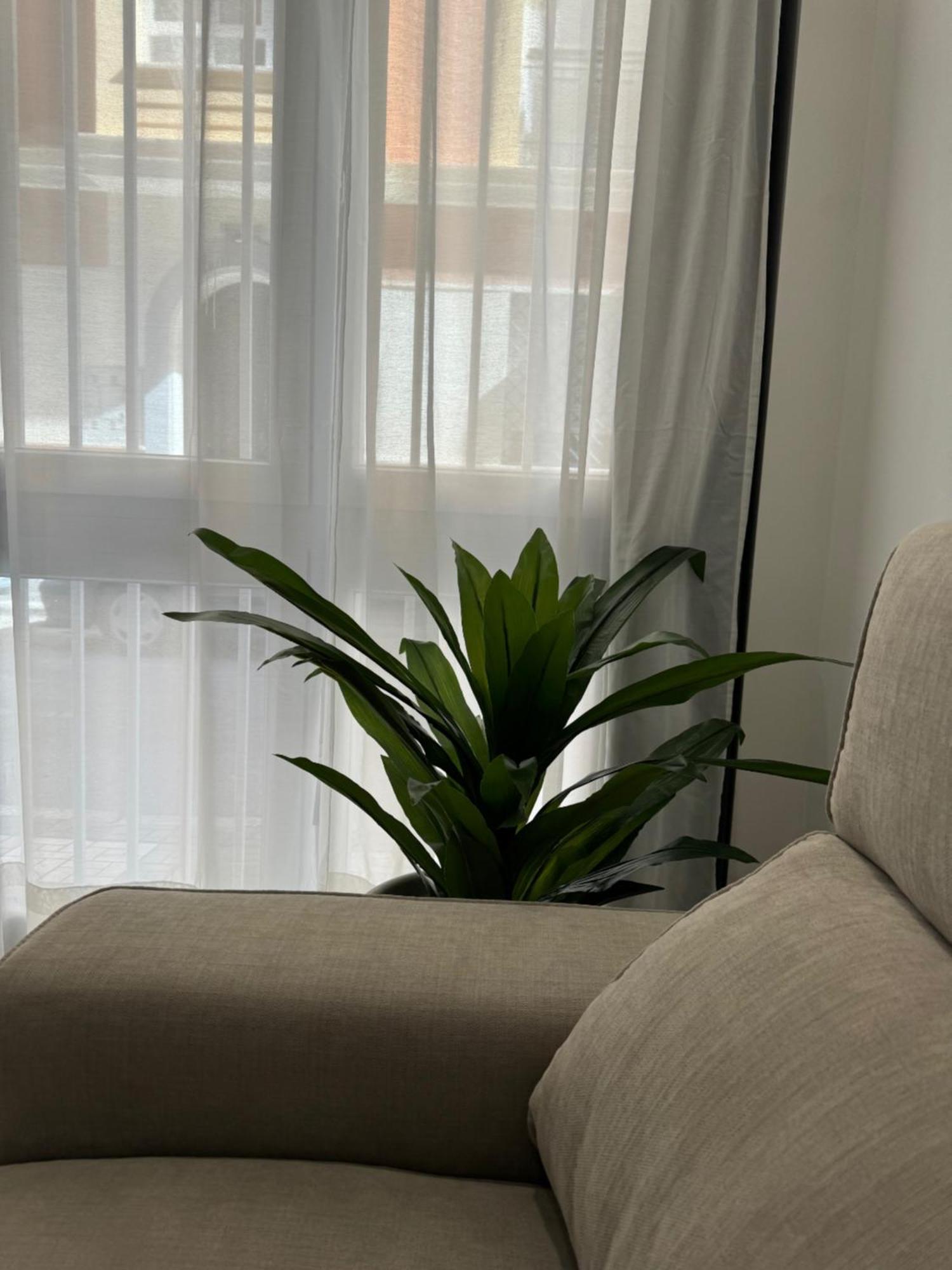 מאלגה Alderete Suites מראה חיצוני תמונה